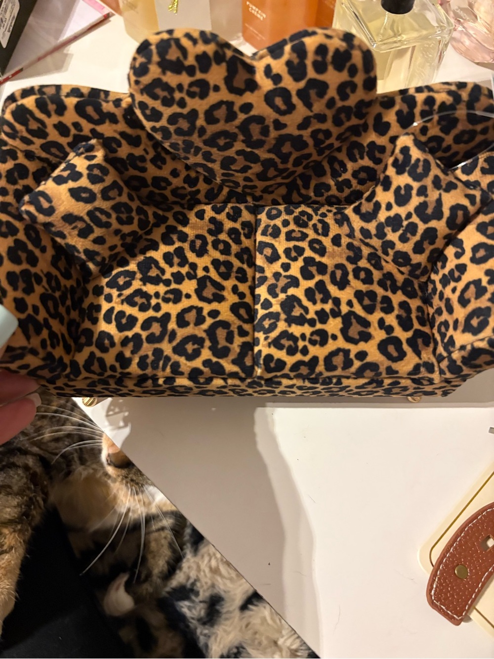 Leopard Print Women's jewelry box Brown/Black